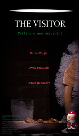 The Visitor Poster